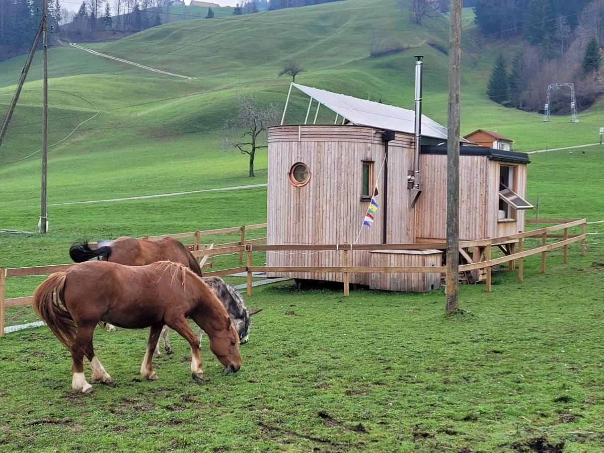 Beaver Creek Ranch Rothenthurm Экстерьер фото