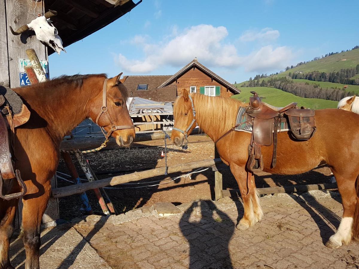 Beaver Creek Ranch Rothenthurm Экстерьер фото